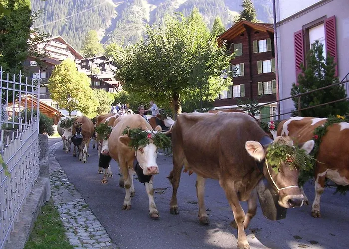 Chalet Acheregg