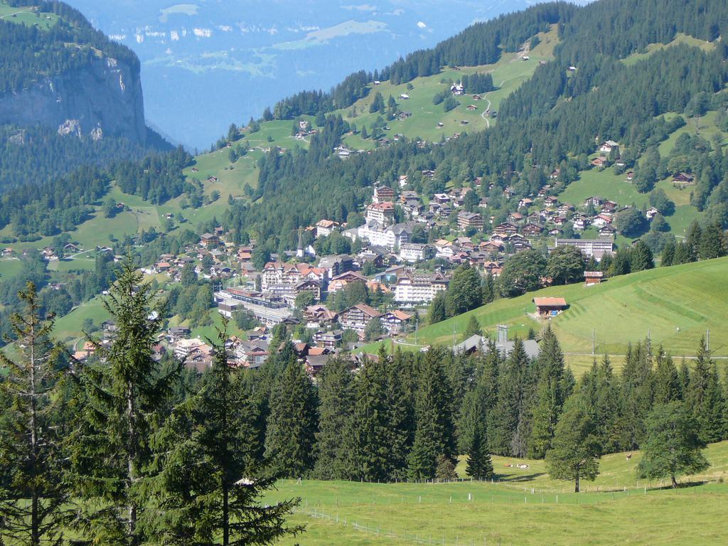 Acheregg *