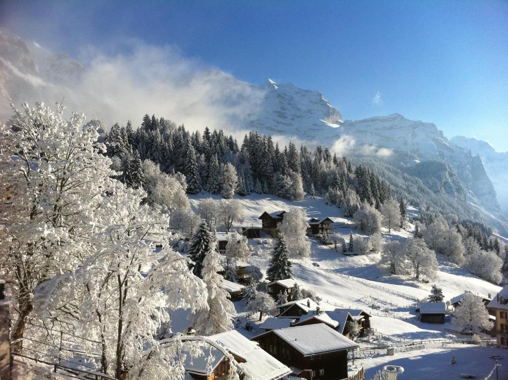 Acheregg Apartmán Wengen