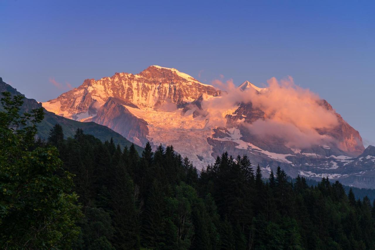 Acheregg Wengen